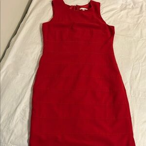 Sandra Darren Vibrant Red Mini Dress